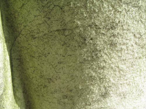 Налет водорослей и грязевые наслоения на поверхности мрамора (ваза)
