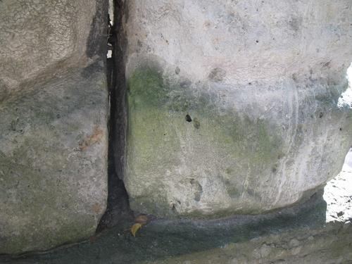 Налет водорослей и гипсовая корка на поверхности известняка (грот, вертикальная поверхность).