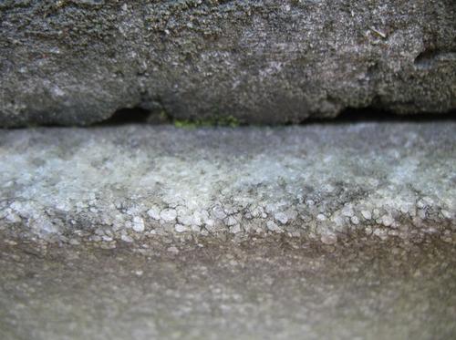 Микроколонии темноокрашенных грибов на крупнозернистом мраморе постамента