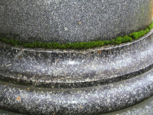 Бионаслоения на колонне из серого мелко- среднезернистого гранита. Южная сторона. Май 2010г.