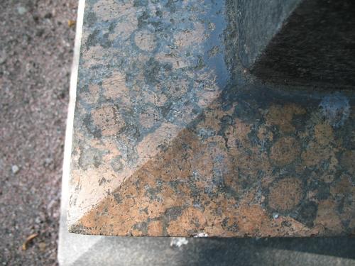 Загрязнения на поверхности гранита рапакиви (постамент под колонной). Вероятно, присутствуют колонии темноокрашенных грибов на поверхности камня.