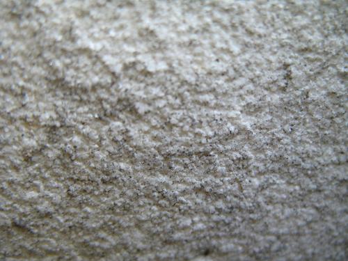 Микроколонии темноокрашенных грибов на мраморе