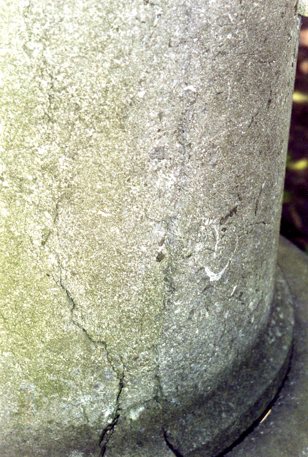 Полуколонна из путиловского известняка. Видны трещины, отшелушивание, налет из атмосферных грязевых отложений и налетов биологического происхождения. Фото ноября 2003 г.

