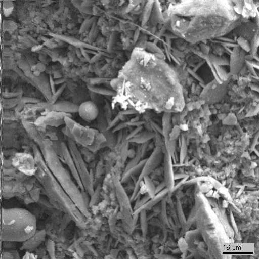 Электронномикроскопический снимок поверхности образца 3. Видны  пластинчатые кристаллы гипса, округлые клетки водорослей, а также скопления тонкодисперсного неорганического вещества с вероятным включением в него элементов биогенного происхождения. Видны отдельные обломки мрамора.