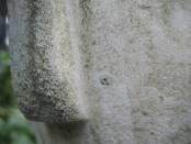 Образец №1
Alternaria alternata
Aureobasidium pullulans
Cladosporium cladosporioides
Cladosporium herbarum
Cladosporium sphaerospermum
Epicoccum nigrum
Hormonema dematioides