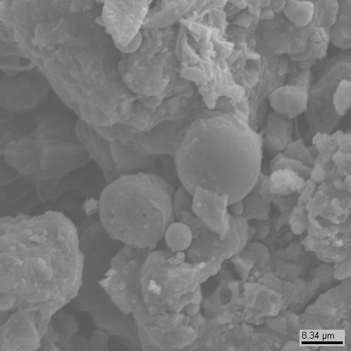Клетки водорослей на поверхности мрамора. Образец №1.