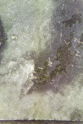Фрагмент надгробной плиты из серого, тонкополосчатого, мелко-, среднезернистого мрамора. Фото ноября 2003 г.